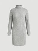 Daisy ribbed turtleneck long sleeve mini knit dress in light grey, full-length front view showing fold-over turtleneck neckline detail.