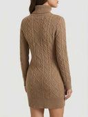 Brown cable knit turtleneck mini dress with long sleeves, back view on white background.